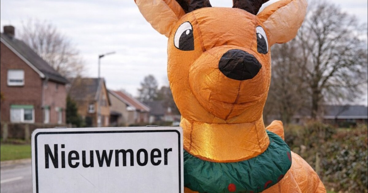 Rudi is in onderhoud. Probeer het later opnieuw